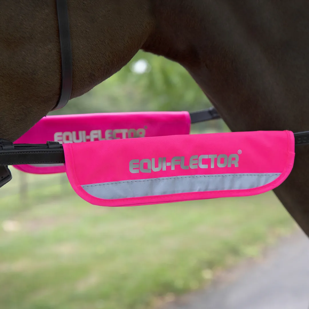 equiflect Reflective Bridle Kit