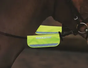 equiflect Reflective Bridle Kit